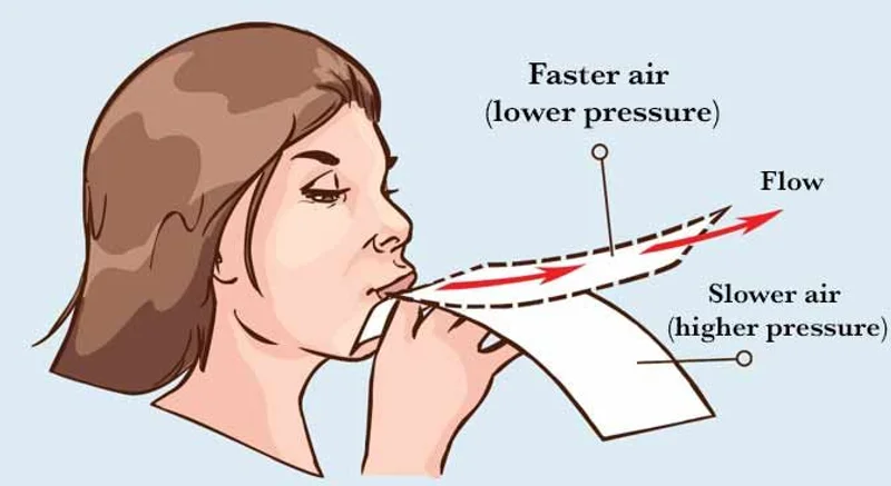 Bernoulli Principle Illustration