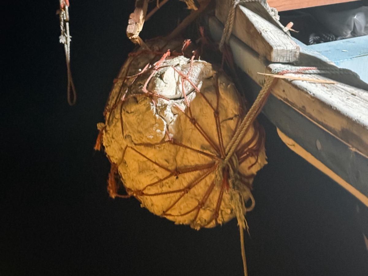 La Vagabonde after crash